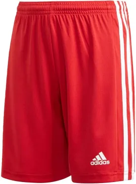 adidas Kids Squadra 21 Shorts