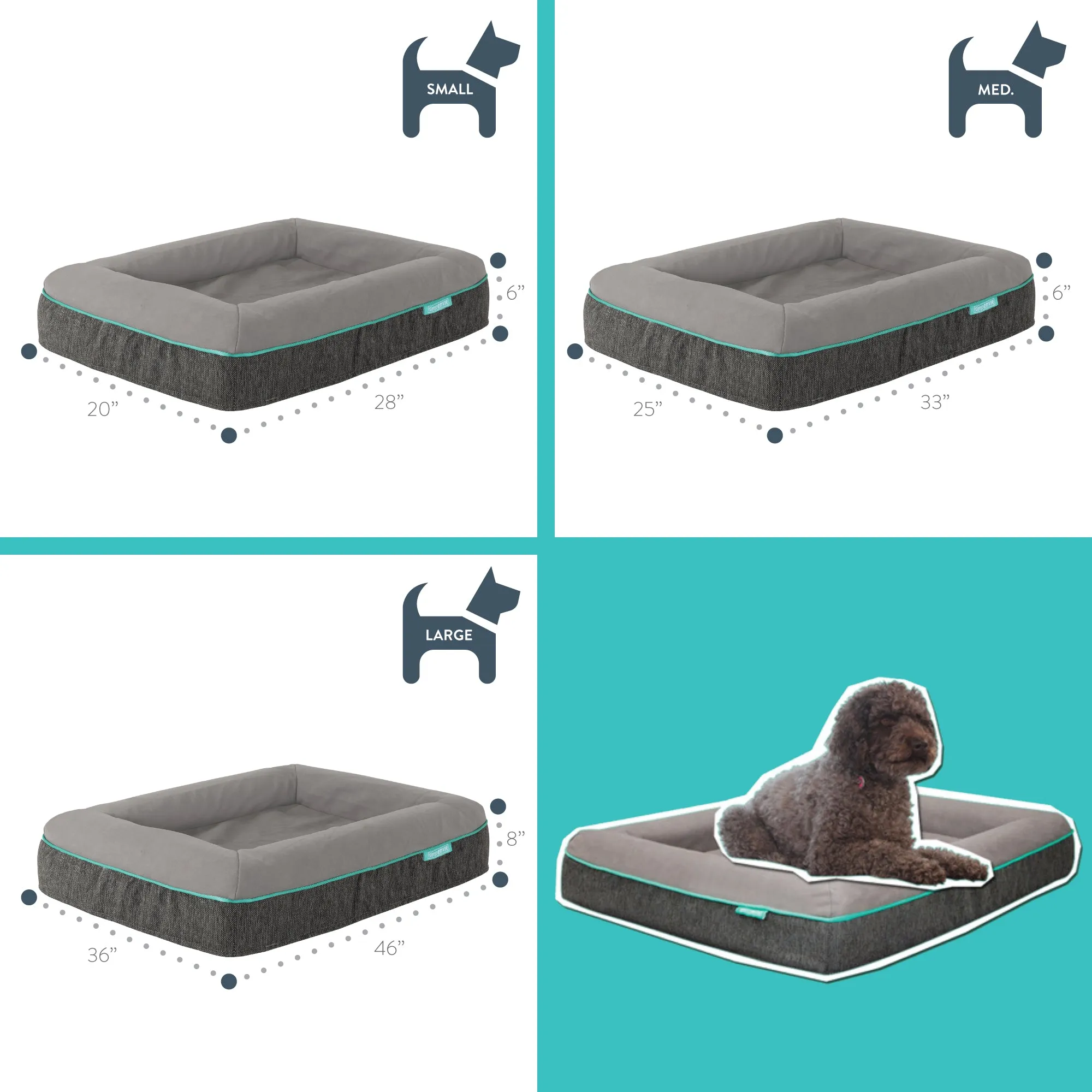 Jaxon Memory Foam Dog Bed